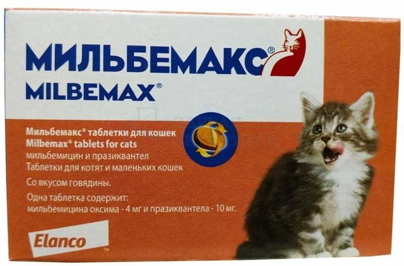 Глистогонное для кошек: симптомы, последствия и способы лечения | ваши питомцы