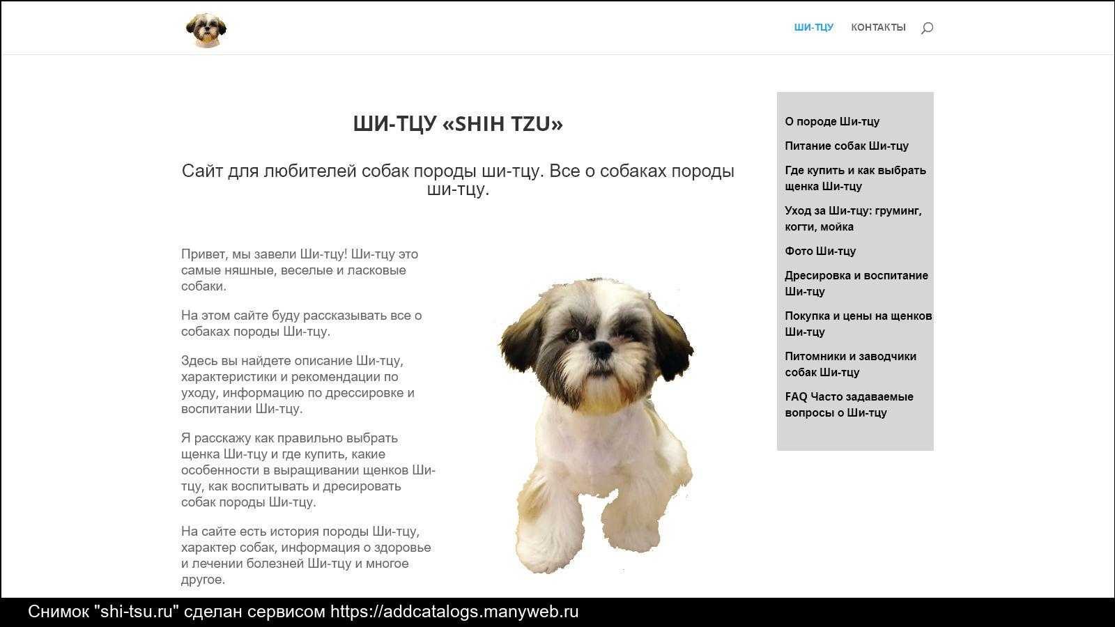 Ши-тцу 🐕: описание породы, характер, содержание и уход, фото собаки 