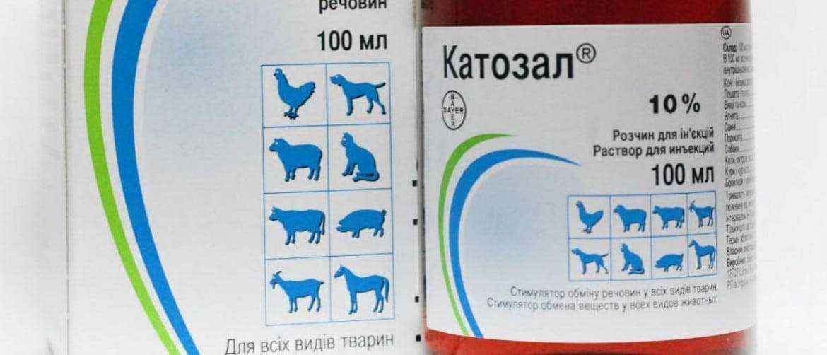 Катозал для кошек: инструкция по применению, дозировка