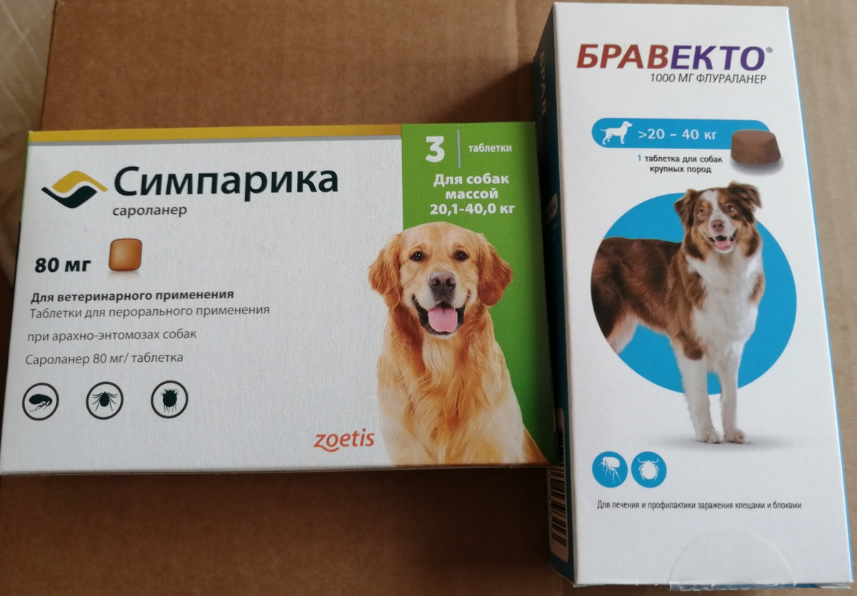 Как защитить собаку от клещей. знай врага в лицо! | ваши питомцы