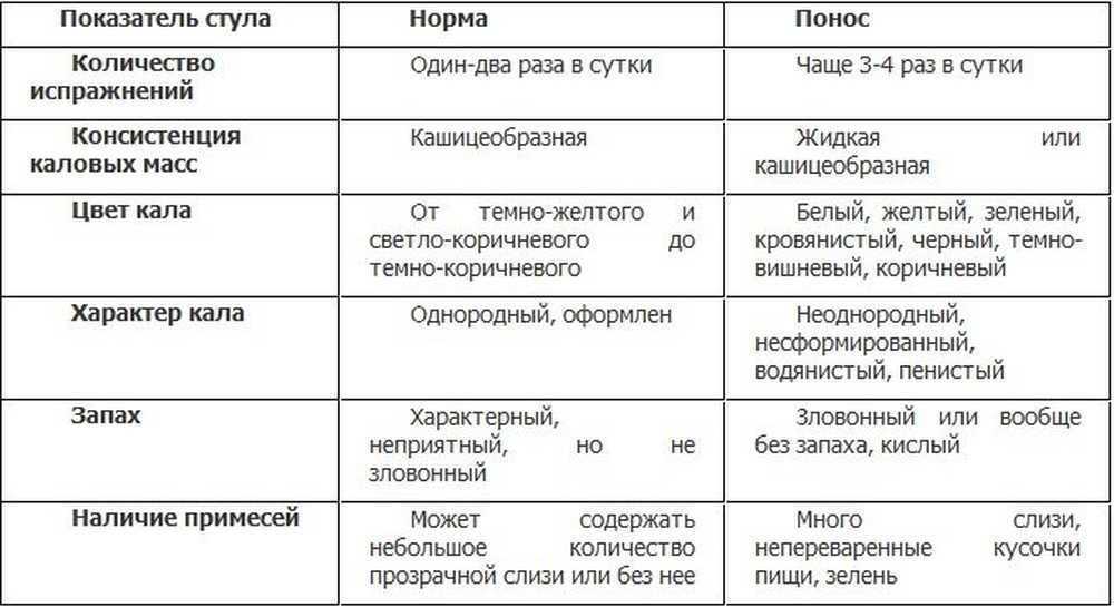 Рвота у котят