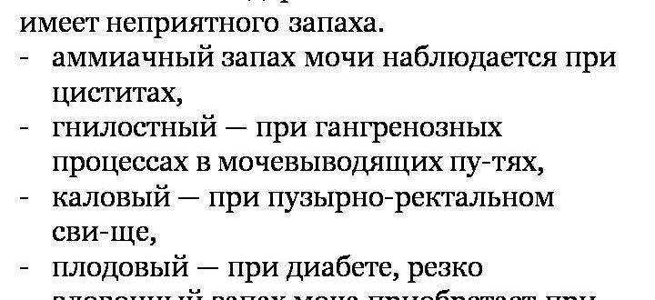 Почему у котов может сильно пахнуть моча: причины вони с аммиаком