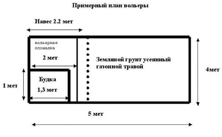 Вольер для собаки: чертеж с размерами | home-ideas.ru