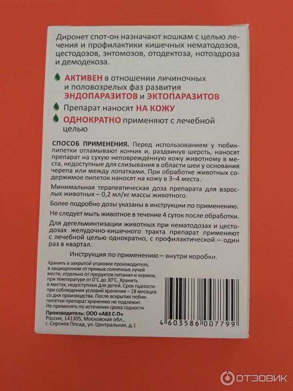 Диронет для кошек (капли спот-он, таблетки, суспензии): инструкция по применению, отзывы