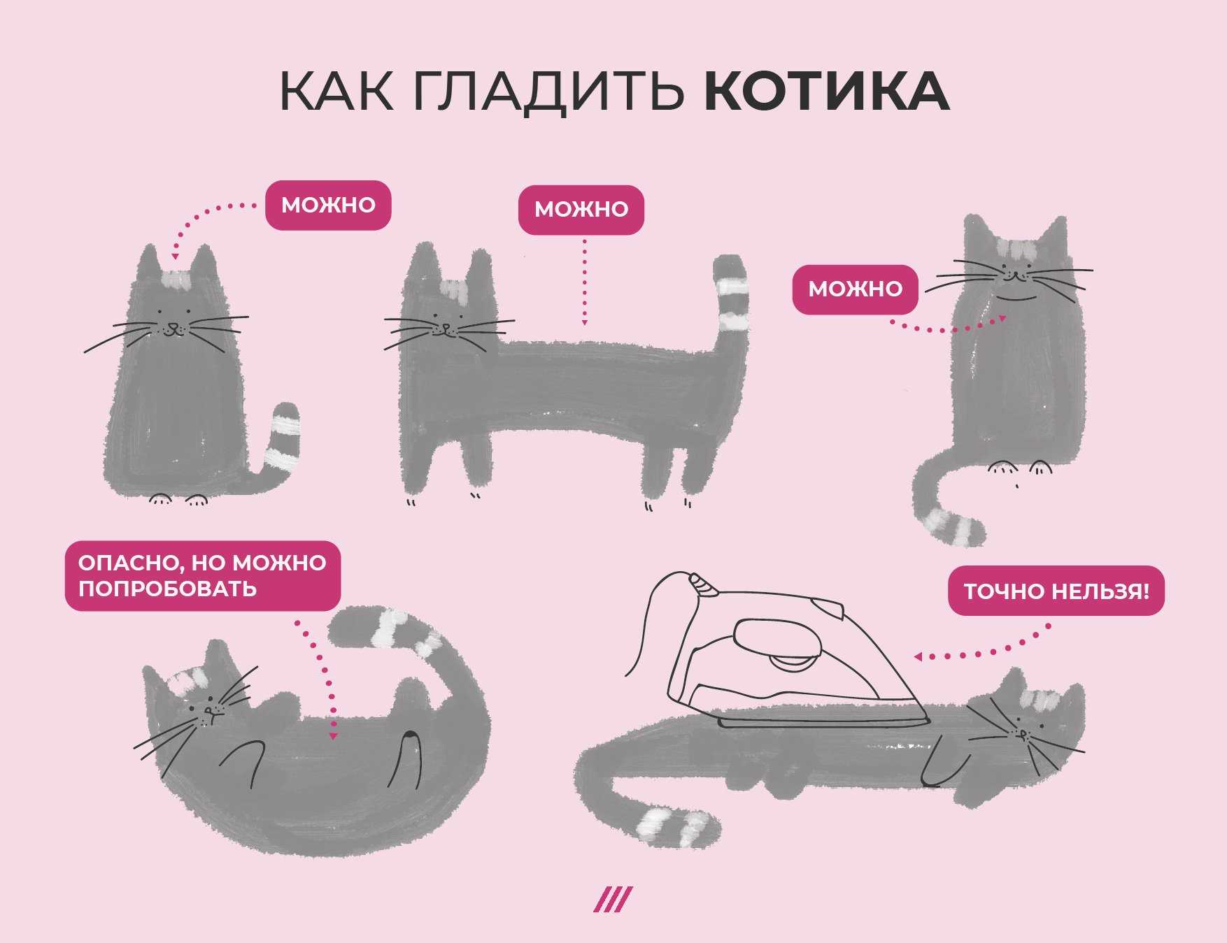 Почему кошки и коты боятся воды – 7 объяснений