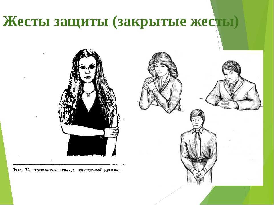 Язык тела собаки: как научиться ее понимать
