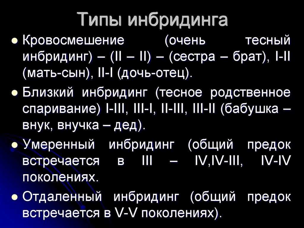 Есть ли у кошек родственные связи