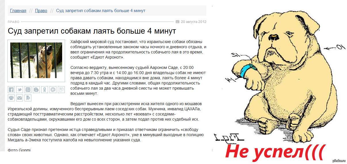 Шумовые фобии у собак. руководство по поведенческой  медицине собак и кошек