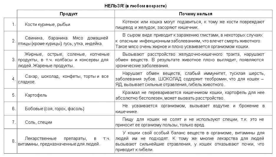Рецепты натурального домашнего корма для кошек