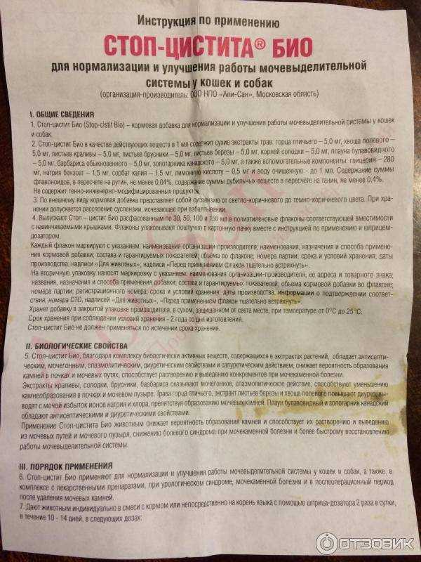 Стоп цистит для кошек нашел широкое применение в ветеринарии Препарат назначают при болезнях мочевого пузыря и почек Лекарство отлично переносится но есть и некоторые противопоказания