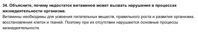 Почему кошка ест землю: нарушение психики или нехватка витаминов