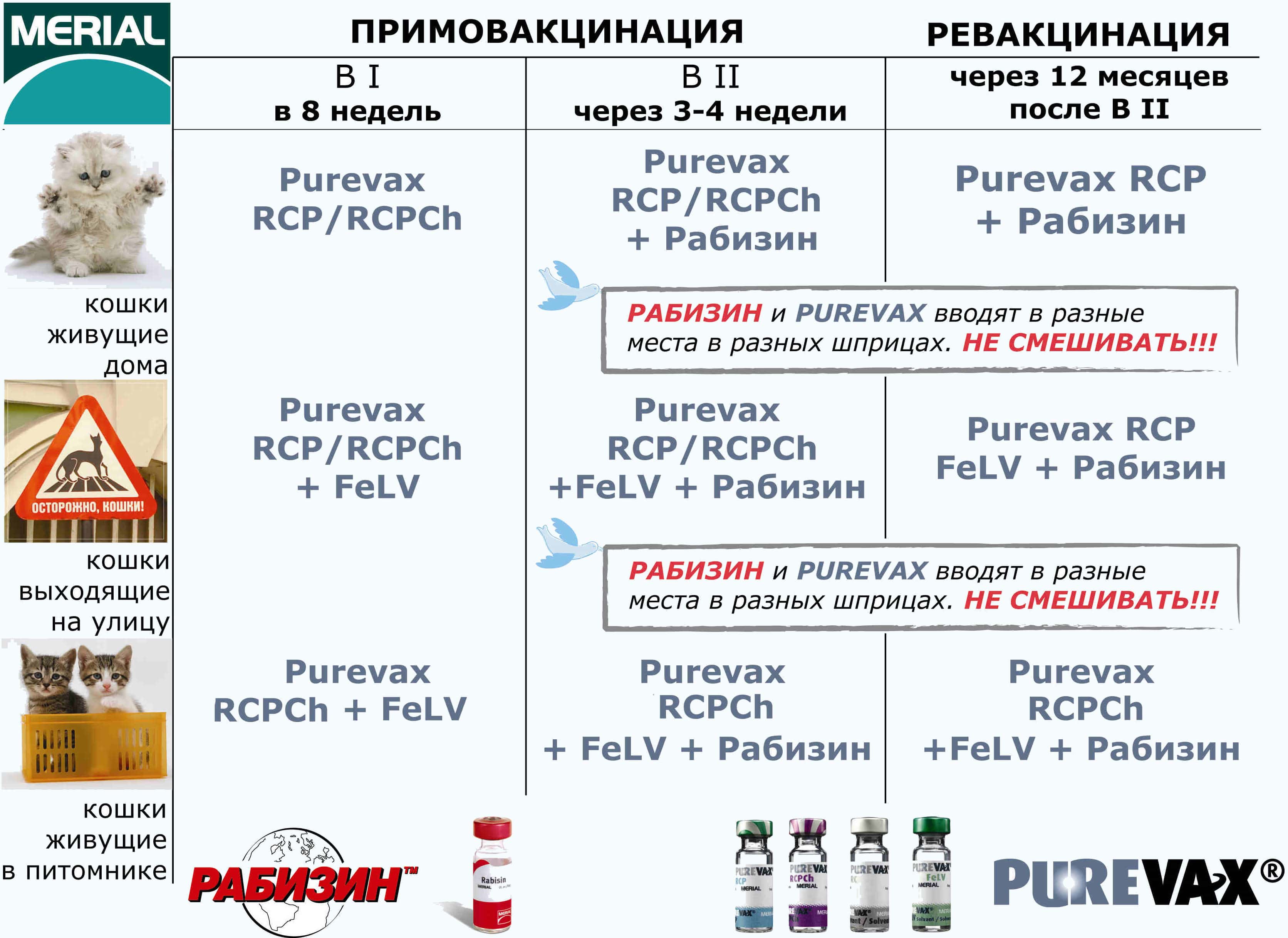 Прививают ли кошек от клещей? отвечает ветеринар!