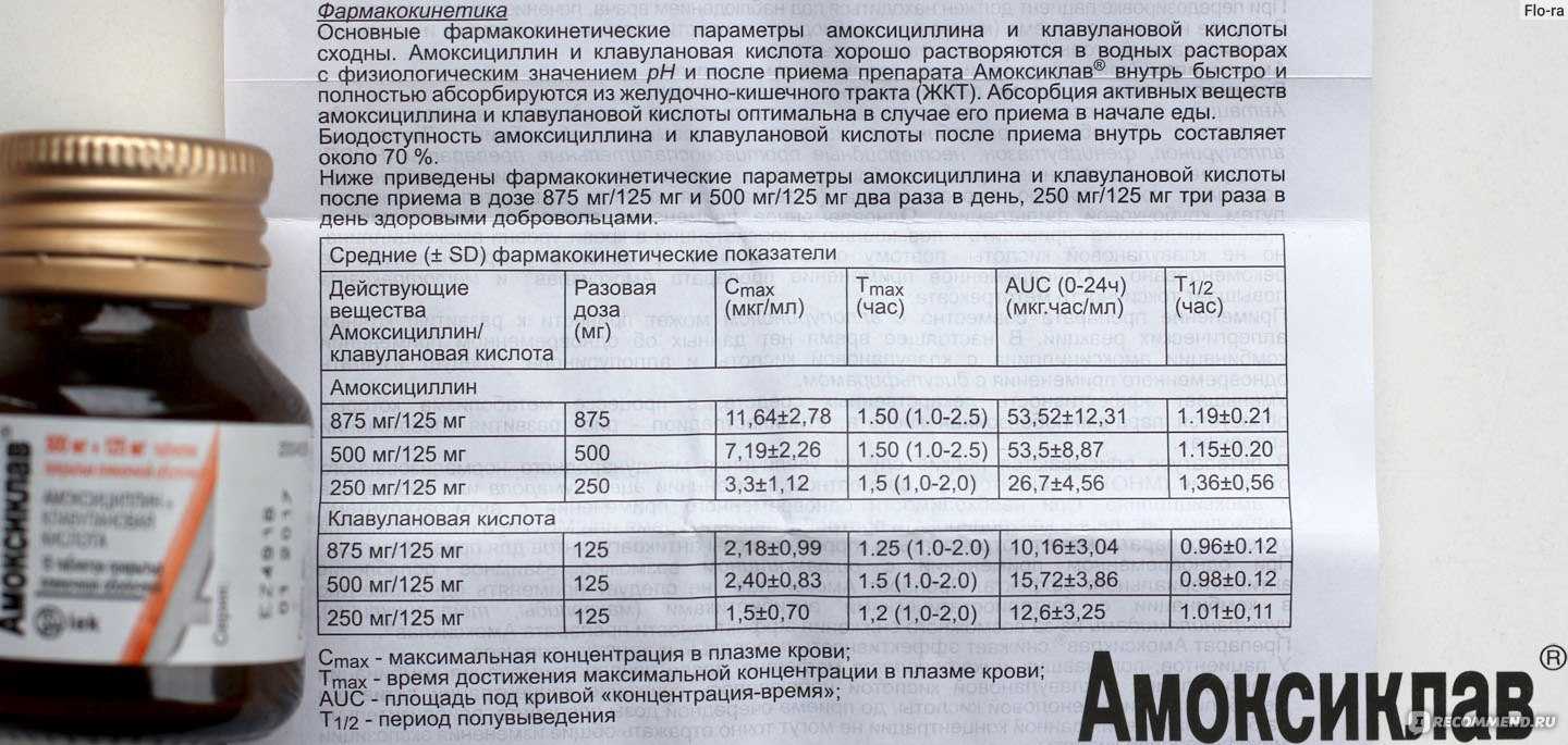 Амоксиклав для кошек: инструкция по применению, дозировка, эффективность, отзывы