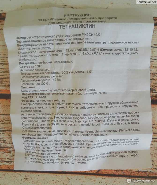 Антибиотики для кошек: виды, применение, дозировка
