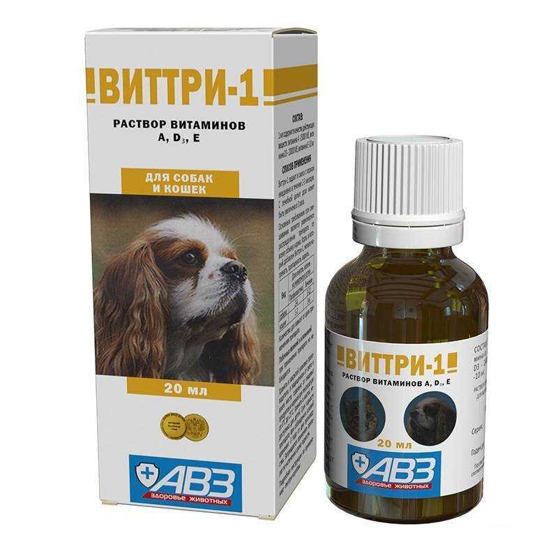 Виттри-1 для кошек: описание, инструкция по применению