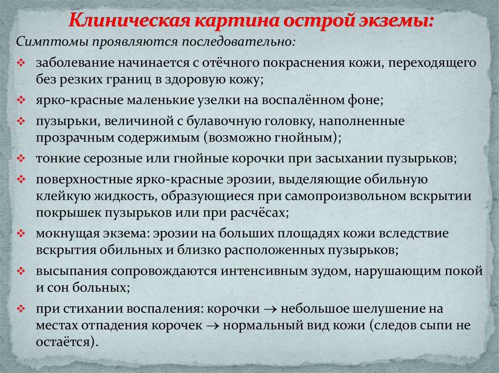Экзема у кошек: симптомы и этапы развития болезни