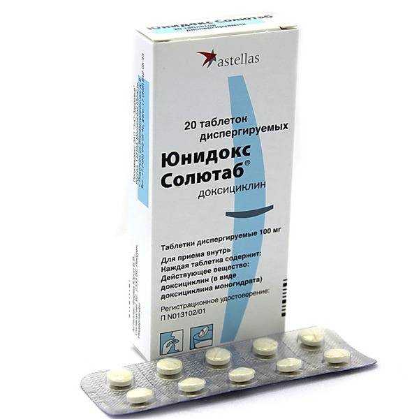 Можно ли давать антибиотики кошкам: побочные действия, противопоказания. применение человеческих антибиотиков для кошек. лучшие ветеринарные антибиотики для кошек.