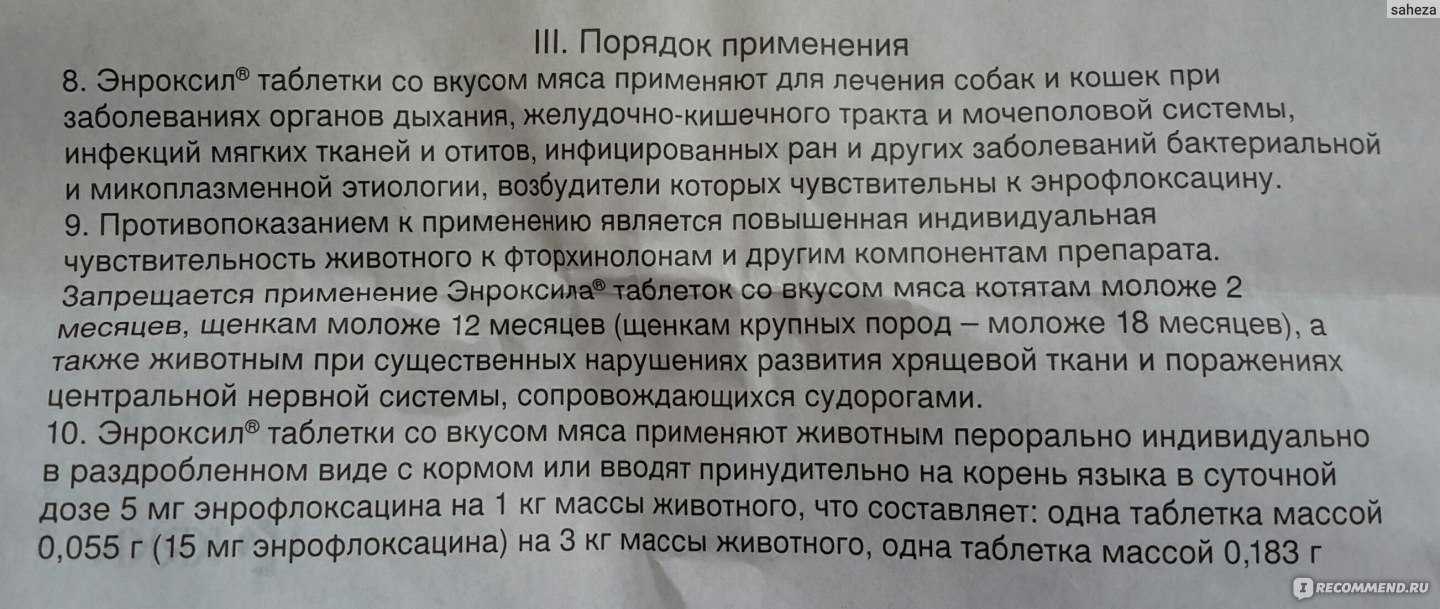 Байтрил для кошек | инструкция по применению байтрила у кошек