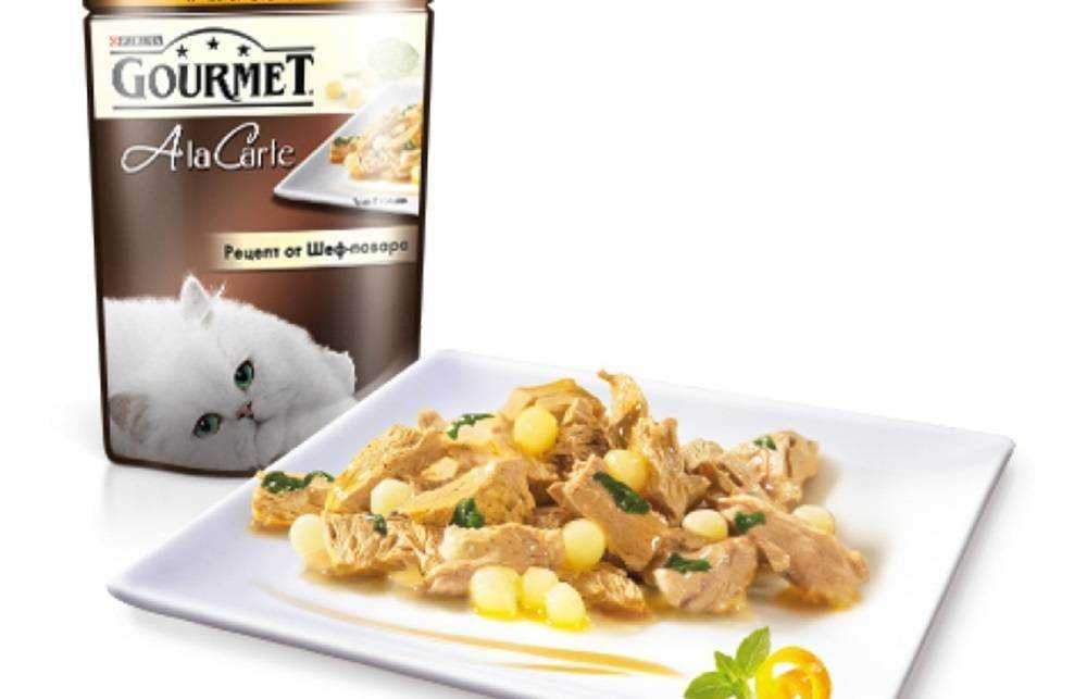 Можно ли кормить котят кормом гурме