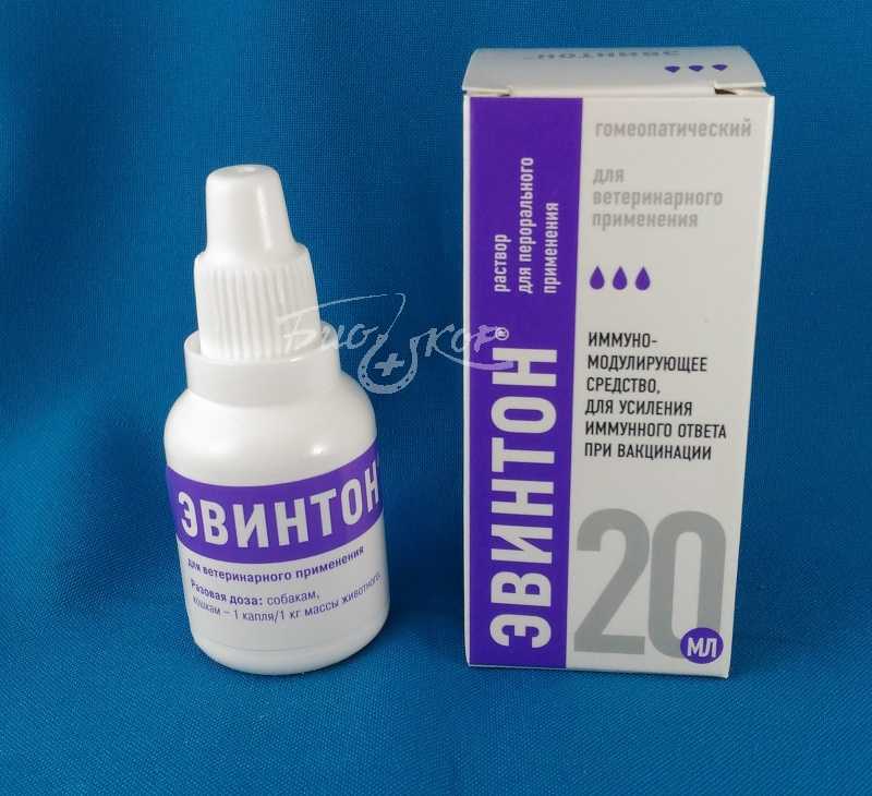 Эвинтон для кошек: надежная защита для иммунитета - все о породах кошек с описанием, фотографиями и названиями.все о породах кошек с описанием, фотографиями и названиями.