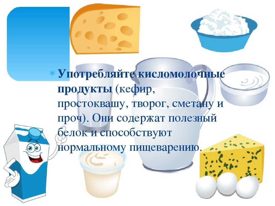 Можно ли собаке молоко?