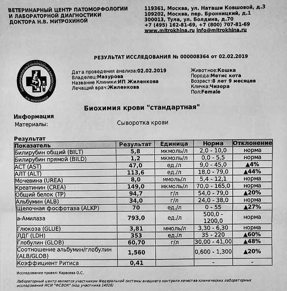 Интерпретация результатов биохимического исследования крови и корреляции показателей