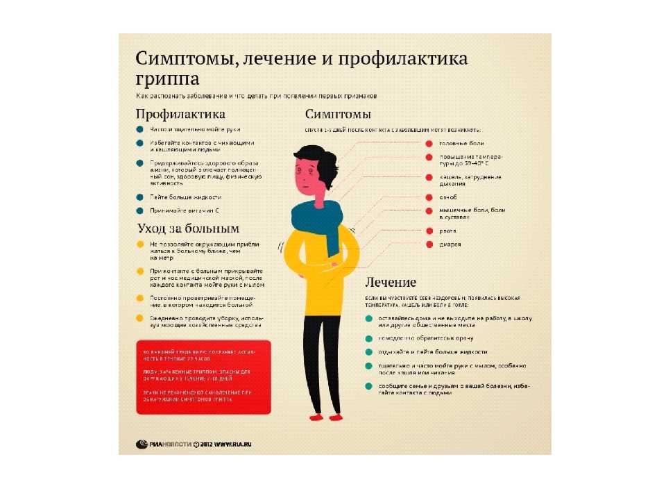 Болеют ли животные гриппом и «простудой»? :: статьи - кагоцел