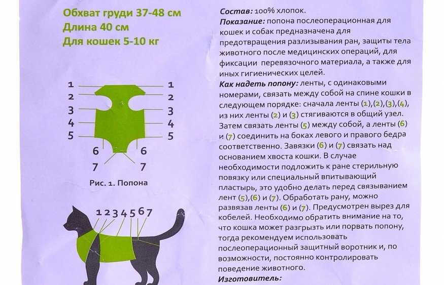 Стерилизация кошки: уход после операции от а до я