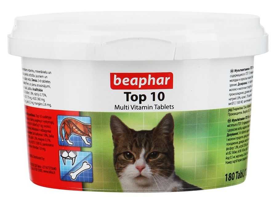 Витамины для котят