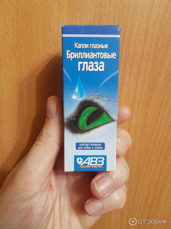 Чем промыть глаза котенку