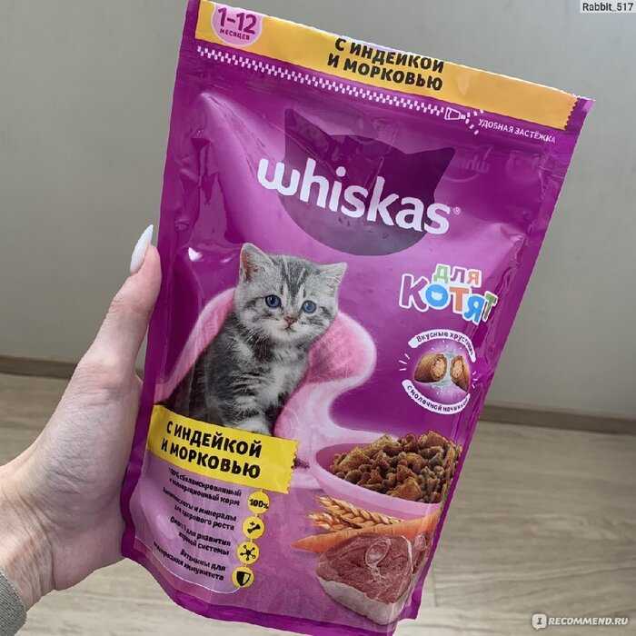 Подробный обзор влажных и сухих кормов whiskas для котят и взрослых котов