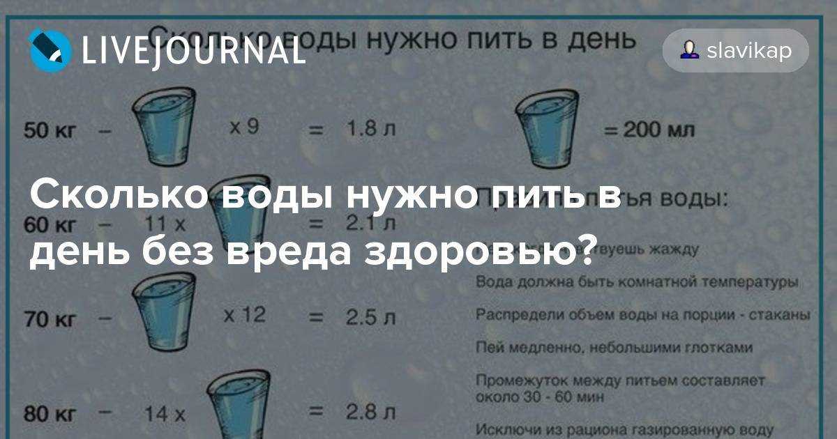 Как узнать, обезвожена ли кошка: 12 шагов