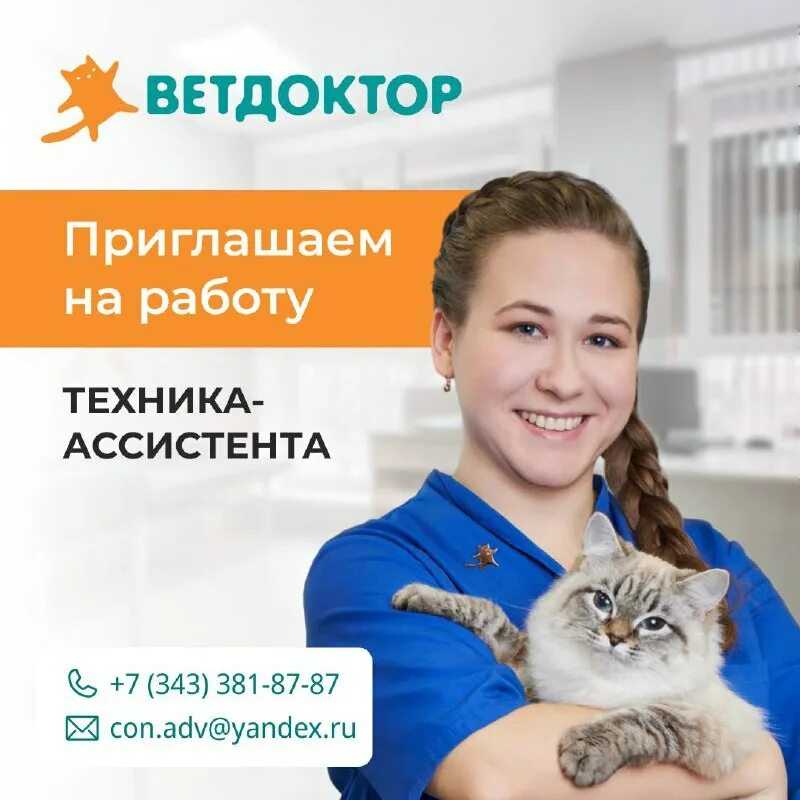 Как правильно выбрать щенка