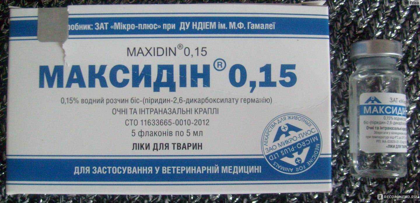Максидин для собак и кошек: инструкция по применению
