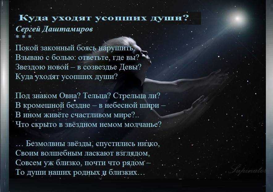 Как понять, что кошка умирает: признаки и стадии | ваши питомцы
