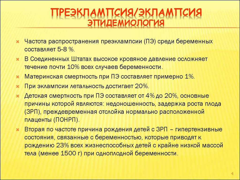 Что такое эклампсия у собаки после родов? подробно о молочной лихорадке