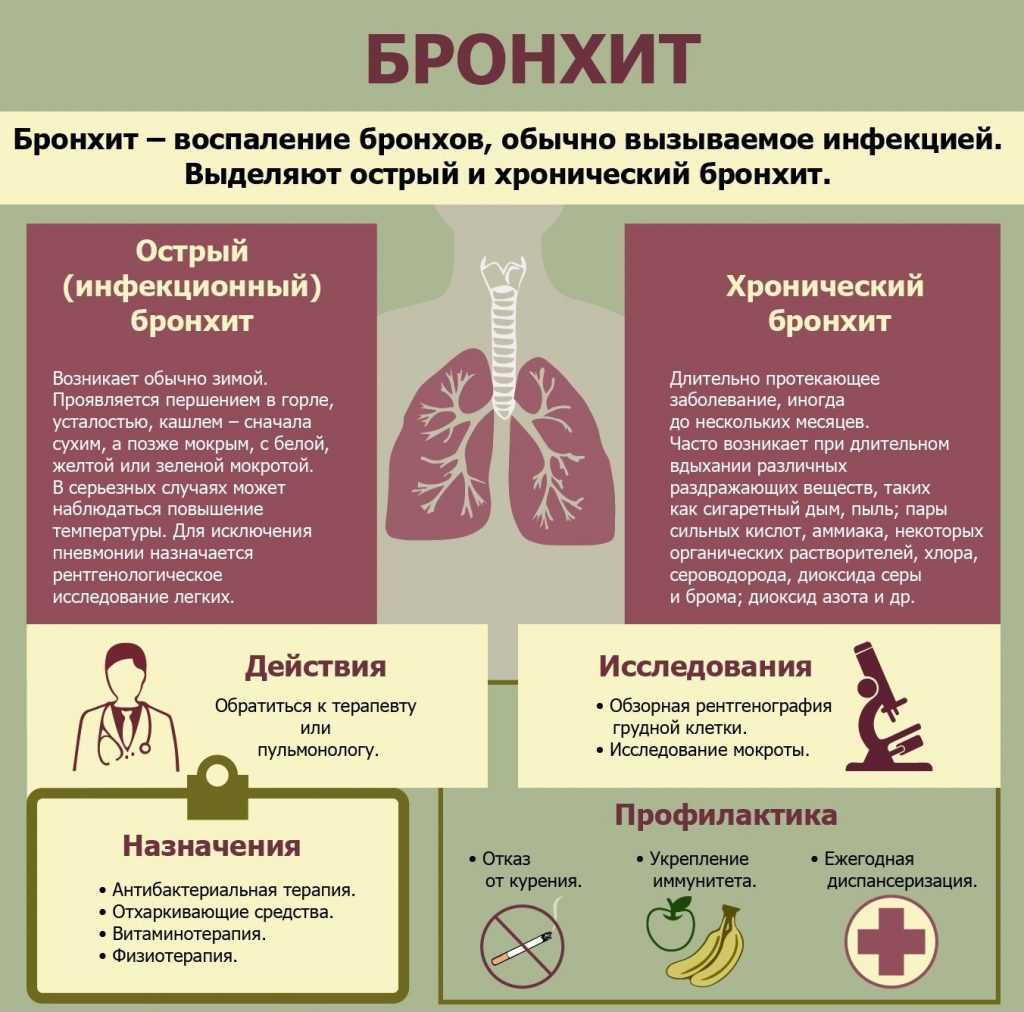 Инфекционный трахеобронхит собак: симптомы, лечение, профилактика.