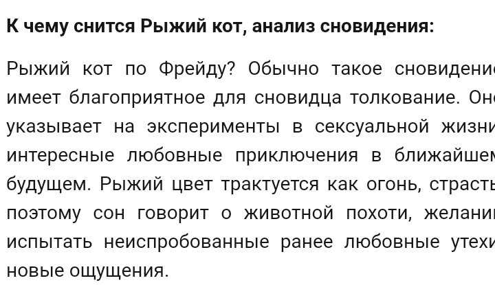 Рыжий кот или кошка к чему снится это животное Что ожидать в будущем мужчине женщине или девушке если оно приснилось Как влияют на трактовку обстоятельства сна