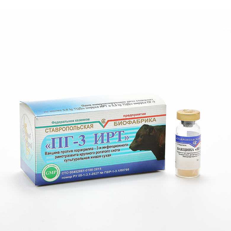 Вирусный ринотрахеит у кошек симптомы и лечение в домашних условиях