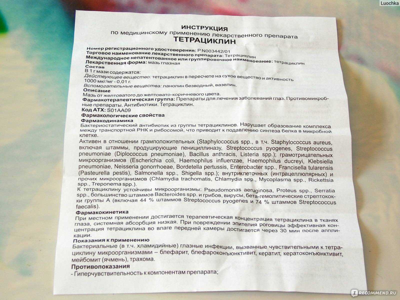 Мазь тетрациклиновая для кошек: описание, инструкция к применению