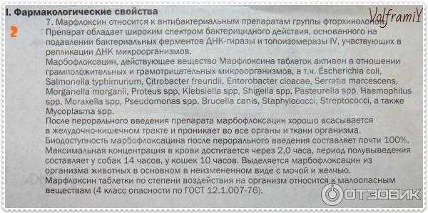 Инструкция к ампулам и таблеткам марфлоксин для кошек и собак