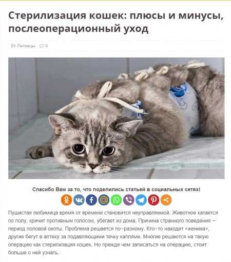 Кастрация кобеля: плюсы и минусы