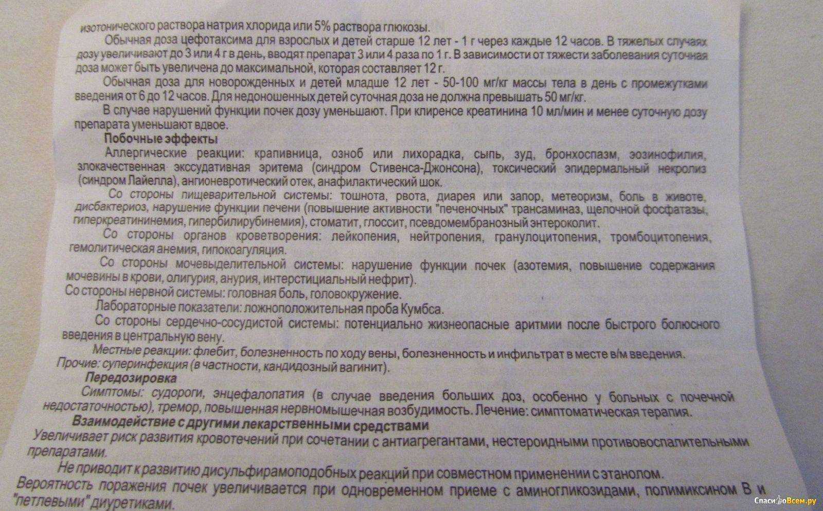 Какие антибиотики и в каких дозах можно давать кошкам