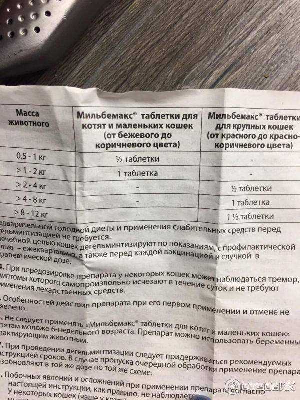Мильбемакс для кошек: инструкция по применению, отзывы ветеринаров