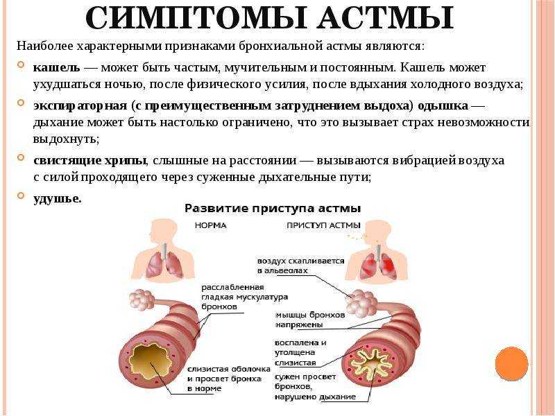 Астма у собак: признаки, симптомы и лечение | все о собаках