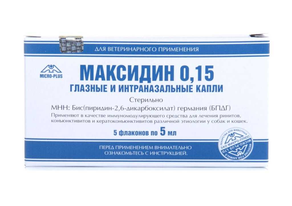 Максидин для собак и кошек: инструкция по применению