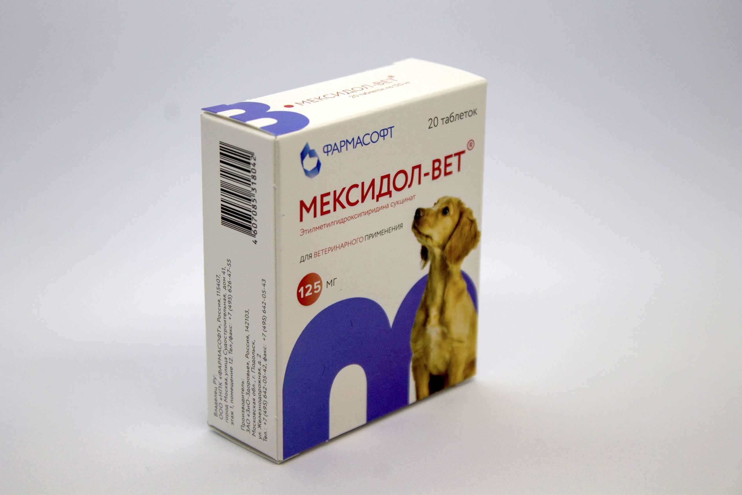 Мексидол-вет (фармасофт). мексидол-вет для кошек: назначение и способы применения мексидол человеческий кошке дозировка