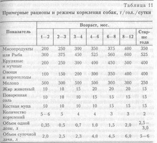 Чем кормить щенка в 1 месяц — советы и рекомендации