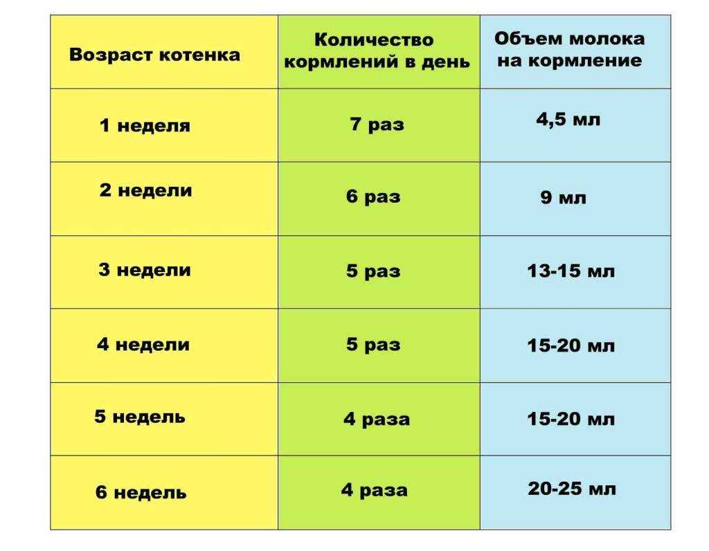 Чем кормить кошку после родов: важные и полезные продукты и общие рекомендации | звери дома