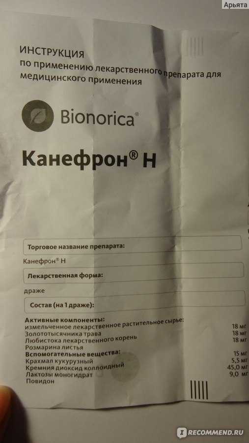 Как давать «канефрон» коту